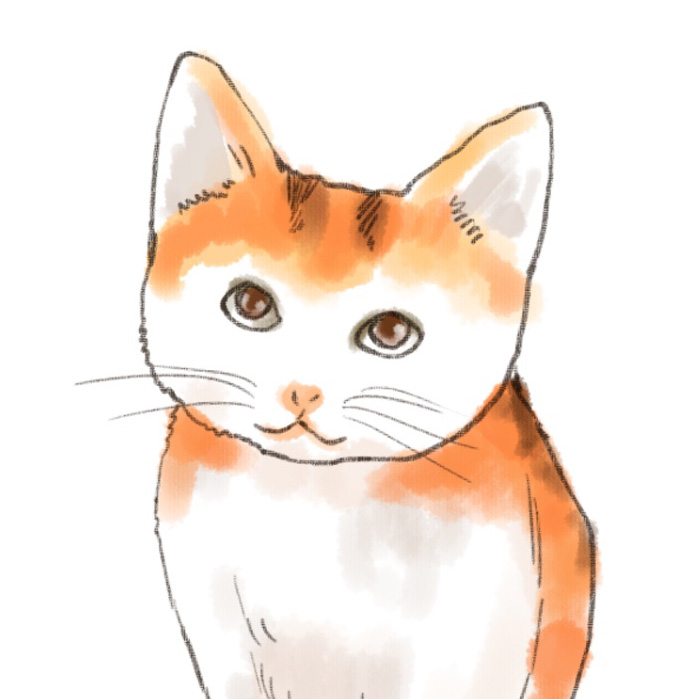 Sœur chat
