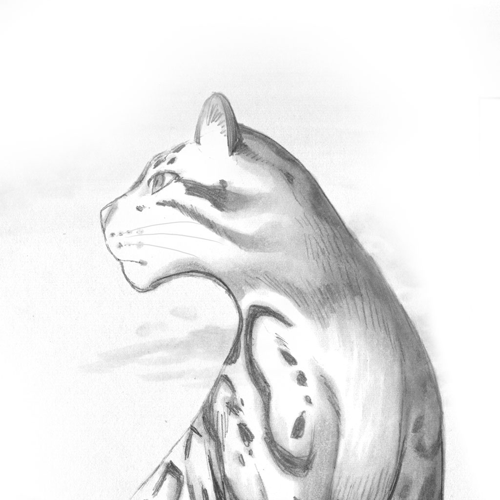 Mr. Clouded Leopard