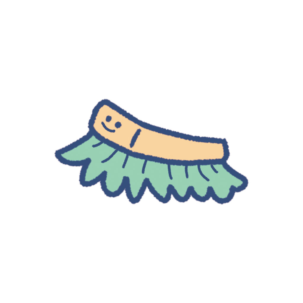 Brushie