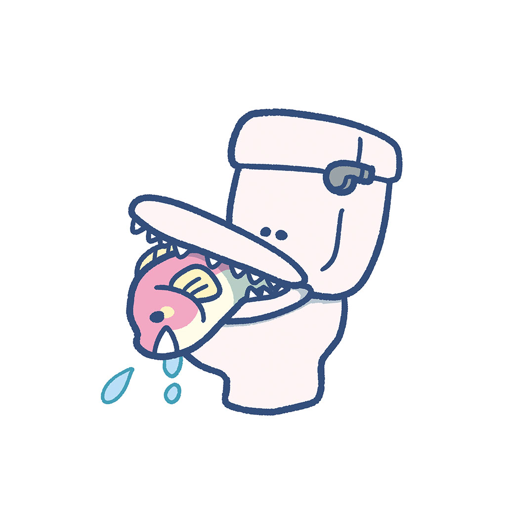 Toilet